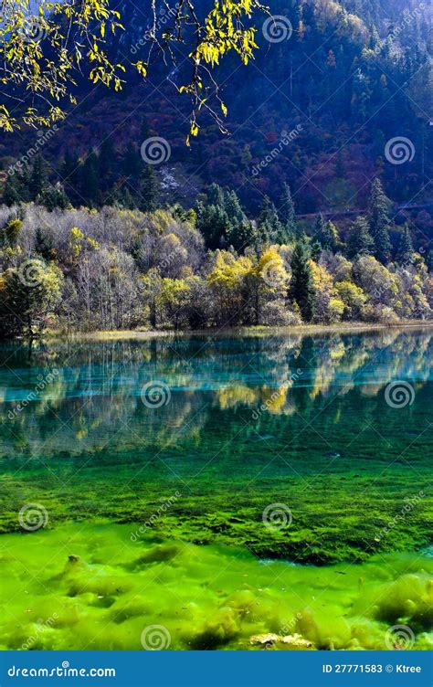 Colorful Lake In Jiuzhaigou Stock Image Image Of Attraction Invert