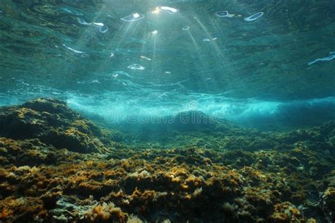 Mar Mediterrâneo Rochoso Do Fundo Do Mar Da Luz Solar Subaquática