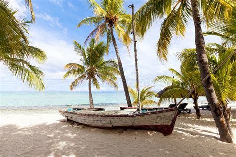 Old Wooden Fishing Boat On A Tropical Paradise Island With Coconut Palm