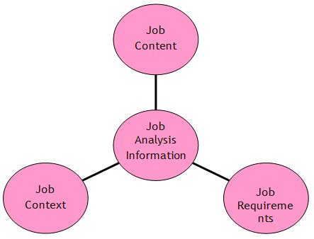 Rqch02 job analysis & job design 1. What to Collect during Job Analysis