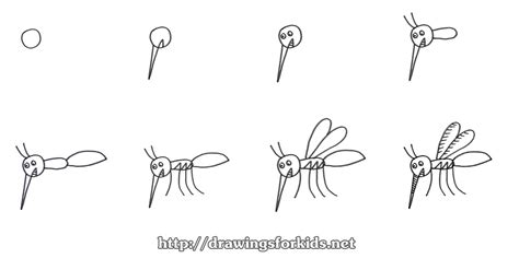 How To Draw A Mosquito For Kids