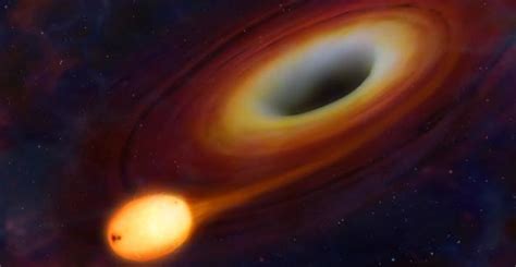 Astrophysicists Find Evidence Of Black Holes Ripping Stars Apart University Of Arizona News