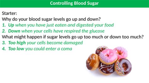 Controlling Blood Sugar Teaching Resources