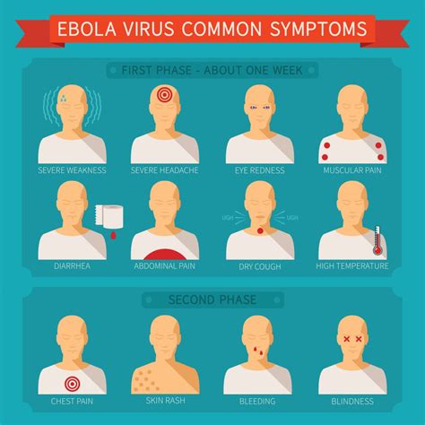 The genus ebolavirus is currently classified into 5 separate species: Ebola-Symptome