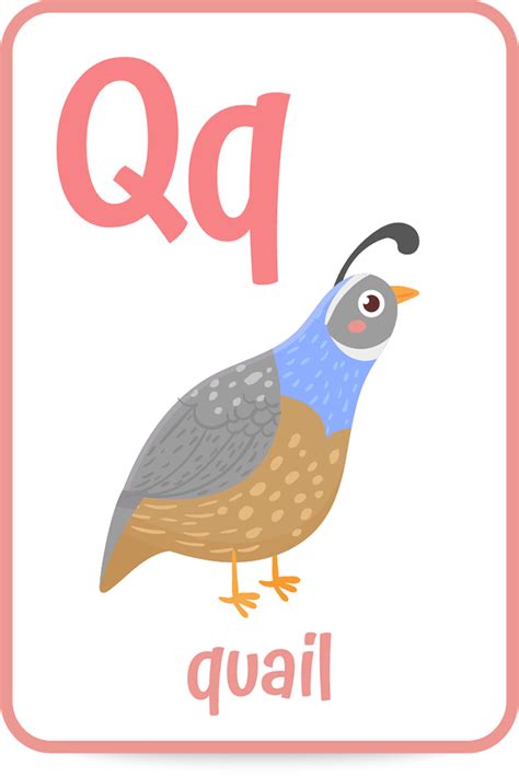 Quirky Words That Start With The Letter Q