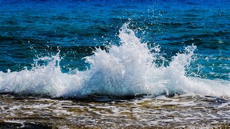 Coast 4k Foamy Wave Wave Drops Sea Beach Shore Foamy Waves