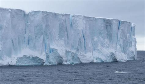 Iceberg located in ross sea, antarctica. Il più grande iceberg del mondo colpirà le coste della ...