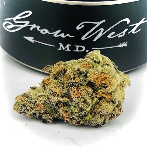 Known for its insanely delicious and fruity flavor, malibu pie is perfect for any indica lover who appreciates a great taste with their toke, too. Pie Crust by Grow West - Maryland Cannabis Reviews