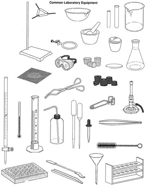 Common Lab Equipment Diagram Quizlet