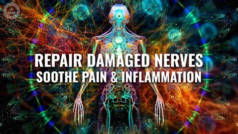 Regenerate And Repair Damaged Nerves Soothe Pain And Inflammation