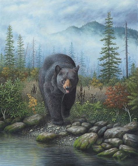 Smoky Mountain Black Bear By Robert Wavra Black Bears Art Bear