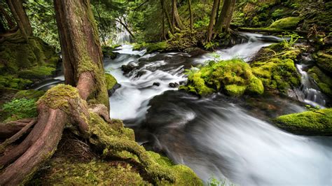 River Columbia Panther Creek Cascades In Washington Hd Wallpaper For
