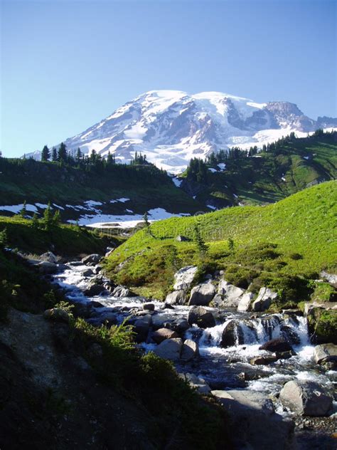 3443 Mt Rainier Photos Free And Royalty Free Stock Photos From Dreamstime