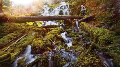 Proxy Falls Exploring Oregon Waterfalls