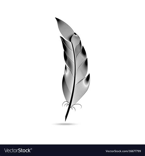 Black And White Large Curved Feather Royalty Free Vector