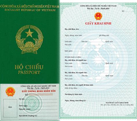 Application For Dual Citizenship For Overseas Vietnamese Cis Law Firm