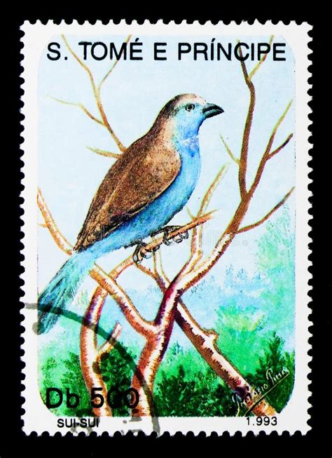 Sui Sui Uraeginthus Angolensis Birds Serie Circa 1993 Editorial