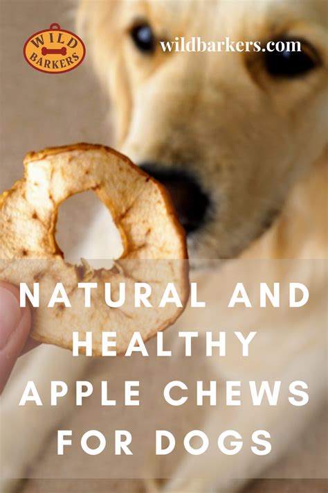 Apple Chews For Dogs Easy Natural Cheap Homemade Diy Dog Treat