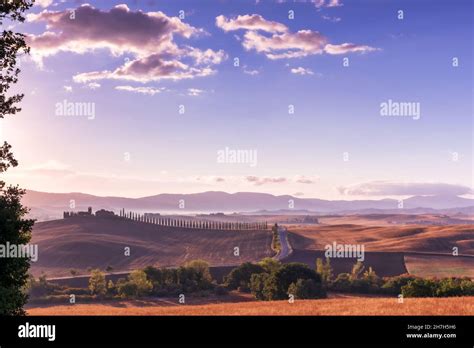 Tuscan Landscape With Cypress Trees And Farmstead At Sunrise San