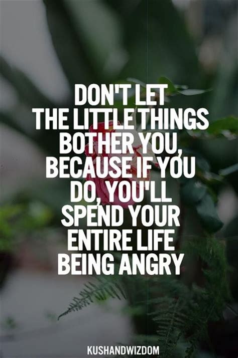 Don T Let The Little Things Bother You Because You Do