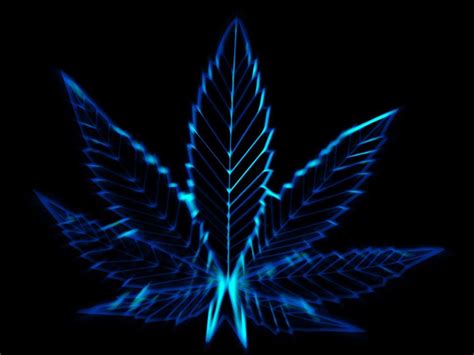 Weed Leaf Wallpapers Blue Wallpaper Cave