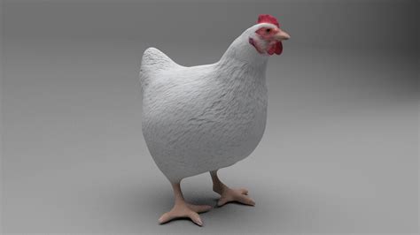 3d Model Chicken Vr Ar Low Poly Cgtrader