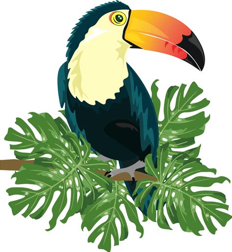 Ramphastinae Bird Ramphastos Illustration Tropical Bird Vector Png