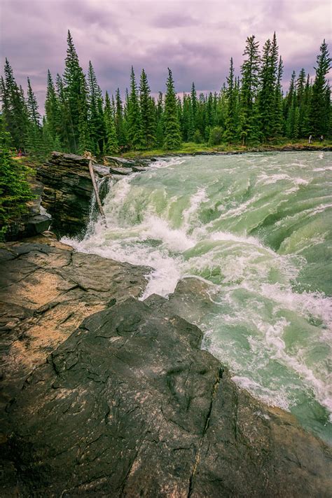 Athabasca Falls Jasper National Park Photograph By Joan Carroll Fine