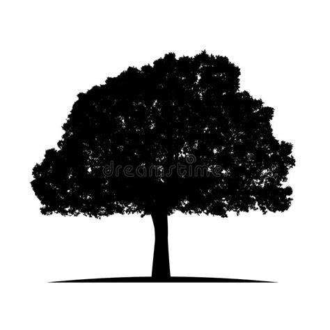 Tree Silhouette With Leaves Stock Vector Illustration Of Icon Vector