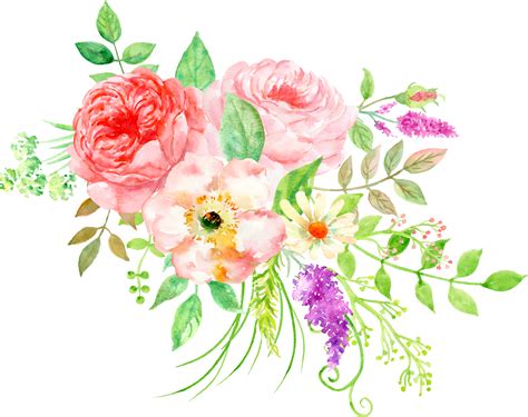 Watercolor Flower Clipart Anemone Peony Watercolor Floral Clip Art Png