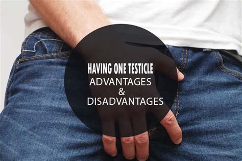 advantages and disadvantages of having one testicle sincere pros and cons