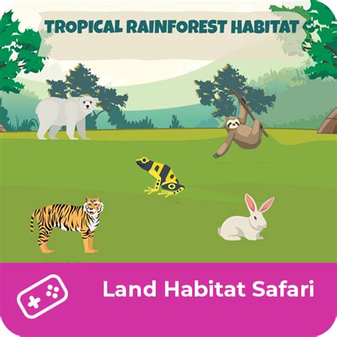 Land Habitat Safari Curious World