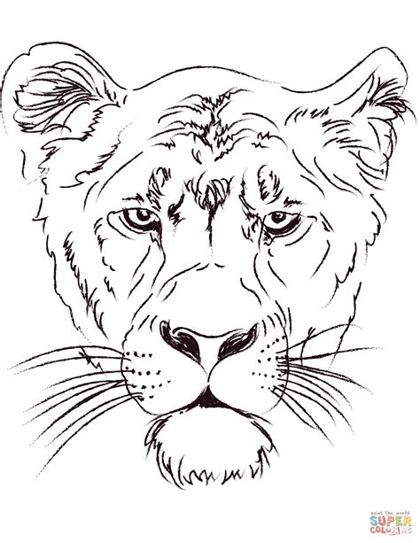 Lioness Head Coloring Page Free Printable Coloring Pages