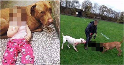 Pictured Owner Of Dogs Filmed Mauling Beagle To Death In Front Of Dog