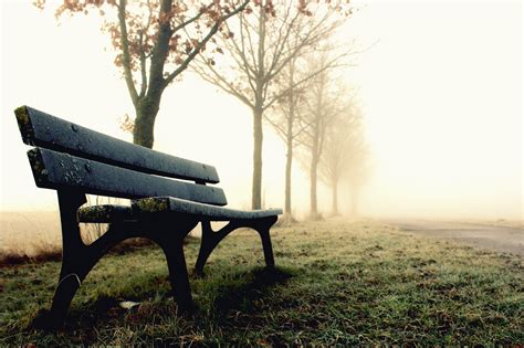 Emptiness, emptiness, blankness, emptiness, vacancy, void. leere Bank im Frost Foto & Bild | jahreszeiten, winter ...