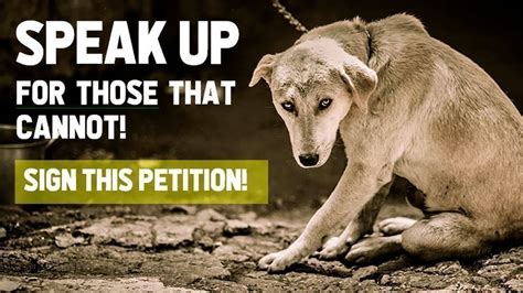Petition · Stop Animal Cruelty Start Animal Charity ·