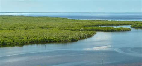 View From Above Of Florida Everglades With Green Vegetation Between