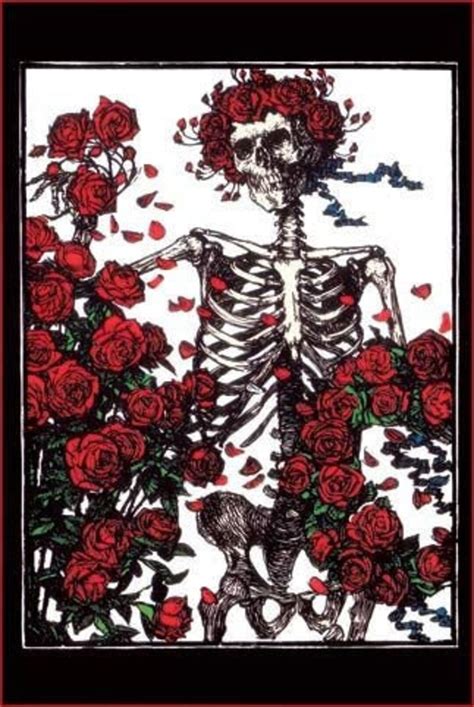 Grateful Dead 2002 Classic Skeleton Roses Postcard By Classico San
