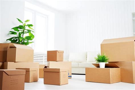The Best Places To Find Free Moving Boxes And Supplies 5 Star Moving
