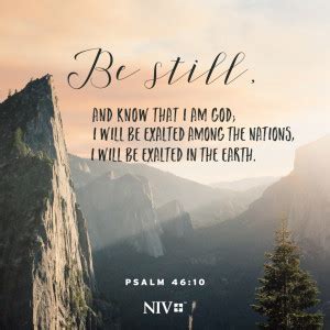 NIV Verse of the Day: Psalm 46:10