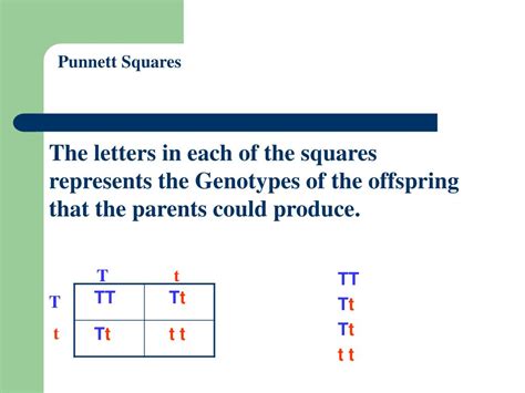 ppt punnett squares powerpoint presentation free download id 3965650