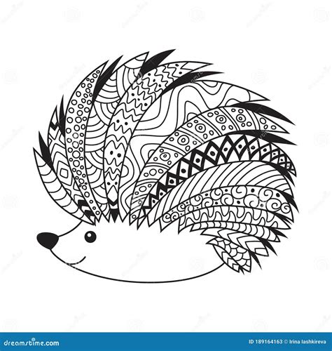 Hedgehog Doodle Coloring Book Page Antistress For Adult Zentangle