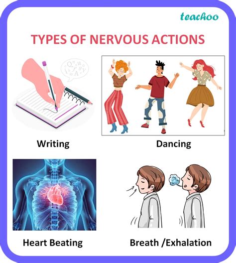Biology Class 10 Types Of Nervous Actions With Examples Teachoo