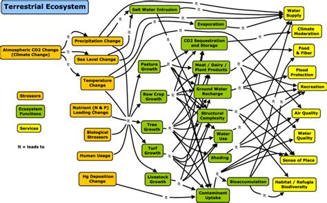 Concept Map For Terrestrial Ecosystems Links Are Shown Between