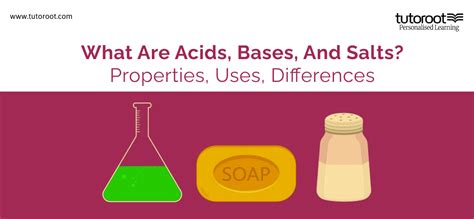 What Are Acids Bases Salts Properties Uses Difference