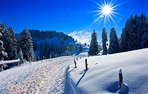 White Forest Path Snow Winter Sunlight Wallpapers Wallpaper Cave