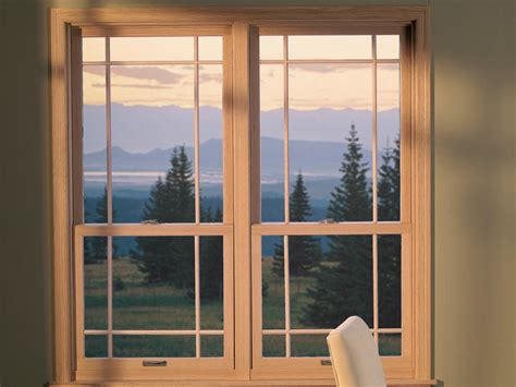 Double Hung Replacement Windows Colorado Springs Renewal By Andersen Co