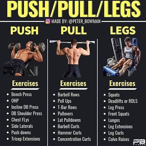 Push Pull Legs PPL By Peter Bowman Push Pull Legs Is One Of The
