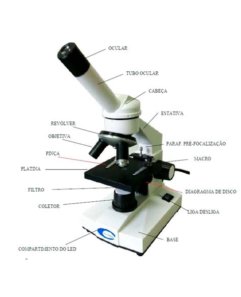 Nomes Das Partes Do Microscópio