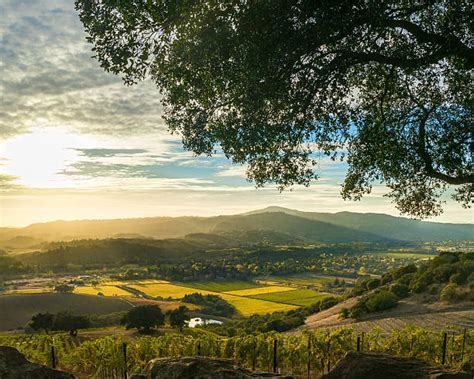 Sonoma Valley Stock Photos Pictures And Royalty Free Images Istock